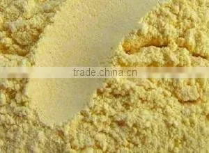 Fresh Corn Starch for Sale 2012 thumbnail-1