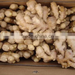 2010 Crop Dried Ginger thumbnail-1
