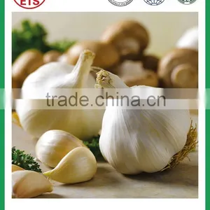 Garlic for Sale With High Quality From Jinxiang thumbnail-4