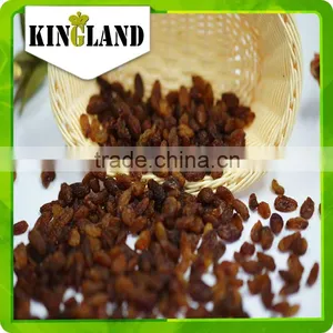 Best Selling Fruit Raisin Sultana thumbnail-1