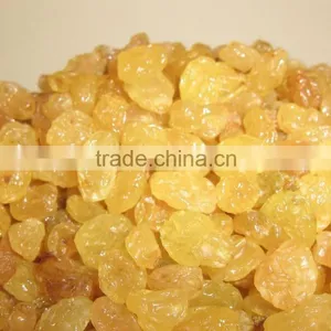 INDIAN ORIGIN QUALITY SEEDLESS GOLDEN RAISIN thumbnail-3