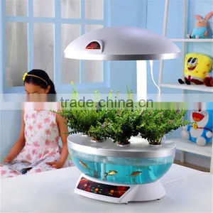Consumer Electronics in Dubai thumbnail-4