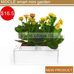 Handmade Cylinder Glass Flower Vase thumbnail-1