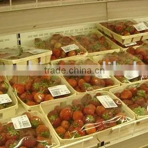 Disposable Fruit Basket thumbnail-1