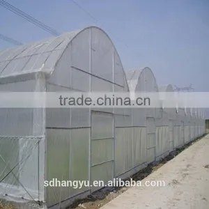 Agriculture Greenhouse Hydroponic System Plastic Sheet thumbnail-2