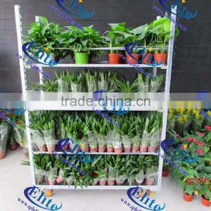 Hot Sale Greenhouse Cart / Flower Display Shelf thumbnail-2