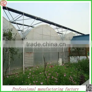Hot Sale 10.8m Agriculture Plastic Film Greenhouse for Planting thumbnail-3