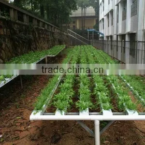 pe Pipe for Irrigation Diameter 16mm-110mm Good Material High Quality Cheap Price Manufacturer of Pipe thumbnail-5