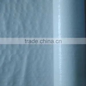 Single or Double Side Coated PE Woven Fabric for Packaging thumbnail-1