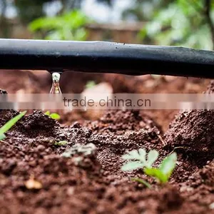 PE Irrigation Pipe ,drip Pipe for Agriculture Irrigation thumbnail-3