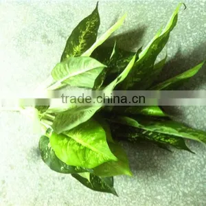 60cm or 24inches Height Artificial Small pe Grass for Green Wall E04 1019 thumbnail-3