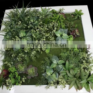 Fake Grass Wall China Factory House Use Artificial Living Wall thumbnail-5