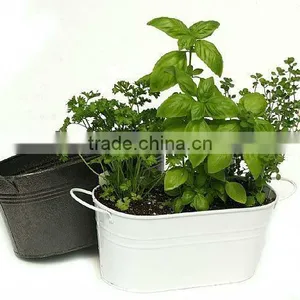 Herb Growing Kits, Seed Growing Kits, Mini Kitchen Garden thumbnail-1