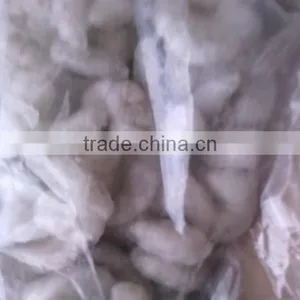 Frozen Vannamei Shrimp Exporters thumbnail-1