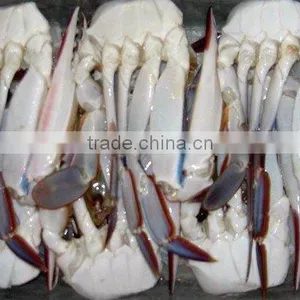 Frozen Deep Sea High Quality Crab Fishing thumbnail-1