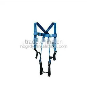 Full Body Safety Harness thumbnail-1