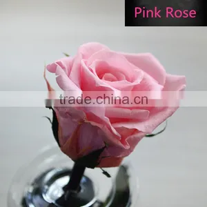 Yunnan A Grade Good Quality Red Rose Wholesale Preserved Flower For Valentine's Day Gift thumbnail-5