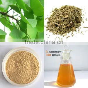 High Quality Ginkgo Biloba Extract, Pure Natural Plant Extract Powder thumbnail-1