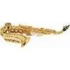 Curved Soprano Saxophone Case Woodwind Musical Instruments thumbnail-1
