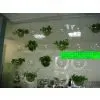 Acrylic Wall Screen thumbnail-3
