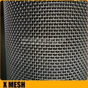 Stainless Steel 304 Black Fly Wire Screen thumbnail-2