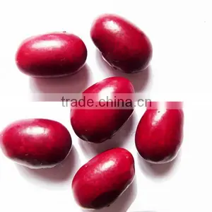 Organic Japaness Red Kidney Bean thumbnail-1