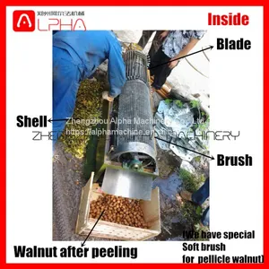 Green Walnut Washing Peeling Machine Walnut Peeler Machine thumbnail-2