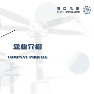 Hunan Liling Pukou Ceramic Insulator Co., Ltd. company overview - view 1 thumbnail
