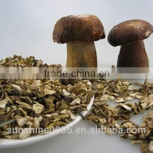 Dried Wild Boletus Mushroom Growing Bottles in Yunnan thumbnail-4