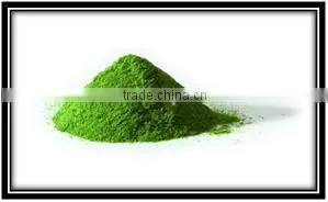 Moringa Leaves Powder for USA Market thumbnail-1