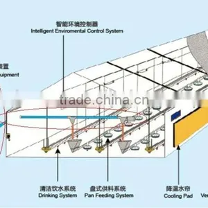 ISO9001 Quality Assuranced Plan House House Automatic Poultry Equipment thumbnail-2
