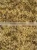 10813 Gold ,Woolen Carpet Pile thumbnail-1