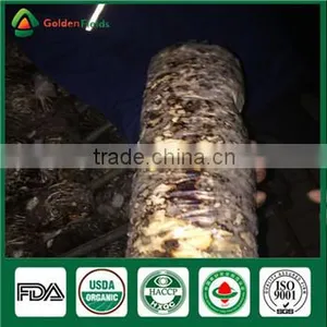 Mushroom Company Bulk Supply Wholesale Price of Shiitake Mushroom Growing Log Bag Kit thumbnail-6