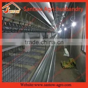 How to Build Stable Steel Structure Battery Cages for Chickens thumbnail-5