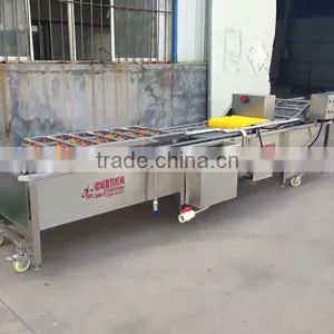 Fruit and Vegetable Processing Line thumbnail-3