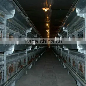 H Frame Pullet Raising System thumbnail-1