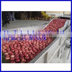 Fully Automatic Pomegranate Washing Machine thumbnail-2