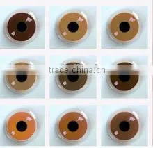 Prosthetic Lenses for Glaucoma/leukoderma Eyes From China thumbnail-1