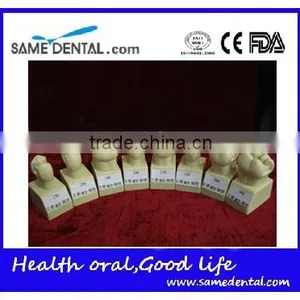 Hot Sale 4 Times Butment Cavity Preparation Model Gingival School Teaching Demonstration Models thumbnail-2