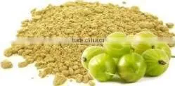 Spray Dried Amla Powder thumbnail-1