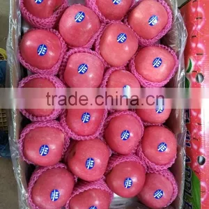 2016 China Red Honey Fuji Apple thumbnail-4