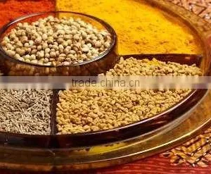 Spices thumbnail-1