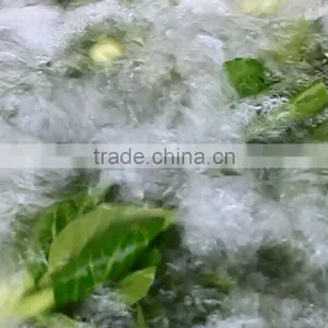 Small Type High Pressure Automatic Fruit and Vegetable Washing Cleaning Machine for Restaurant and Supermarket thumbnail-1