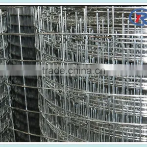 1x2,2x2 Galvanized Welded Wire Mesh Roll/panel thumbnail-3