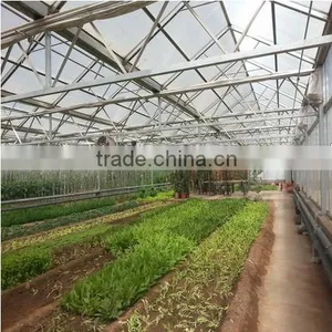 Commercial Green House Geodesic Dome Greenhouse With UV Protection thumbnail-1