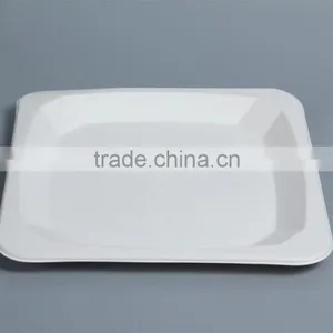 Disposable Compostable 10 Inch Food Trays Square Plates P037 thumbnail-3