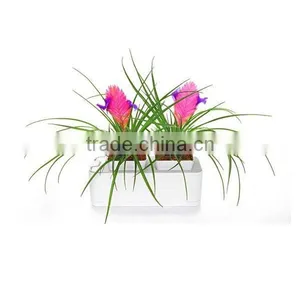 2014 Newest Office Decoration Mini Smart Garden thumbnail-1