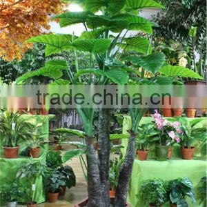 Artificial Bonsai Flower Tree for Home/garden Decor Sale [ABF-04]( Plant of ESTE ) thumbnail-1