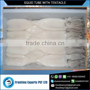 100% Best Quality Frozen Tentacle Frozen Squid Tube thumbnail-1