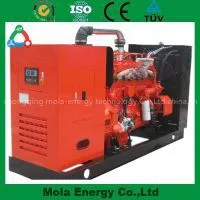 10KW Popular New Energy Biogas Generator thumbnail-1
